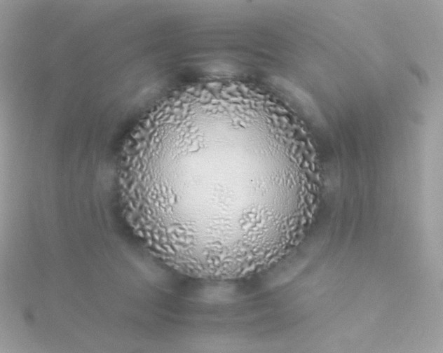 X0000115600369200911241559