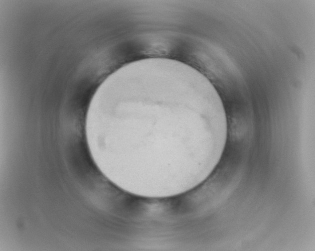 X0000115600370200911241559