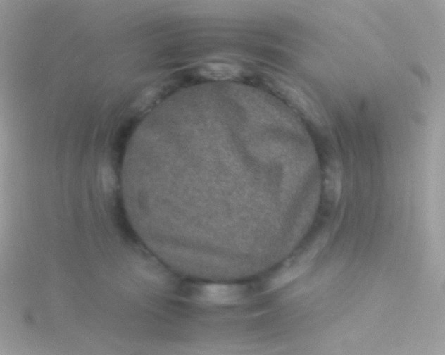 X0000115600371200911241559