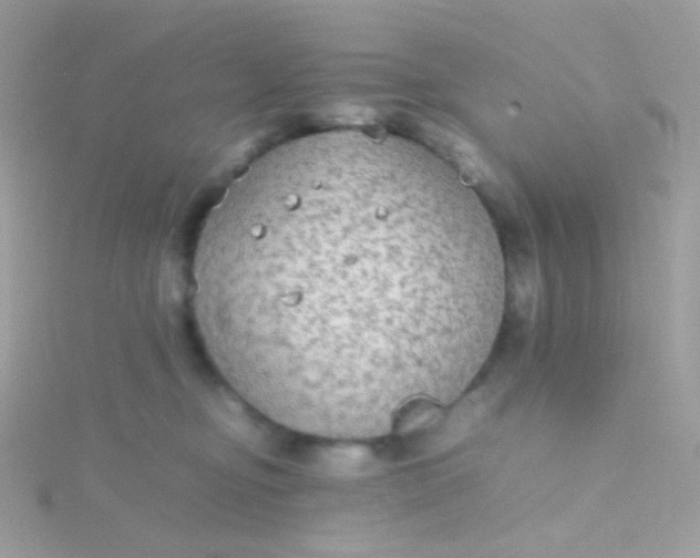 X0000115600374200911241600