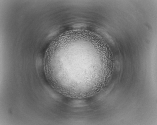 X0000115600375200911241600