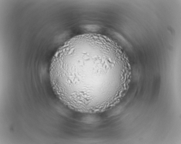 X0000115600377200911241600