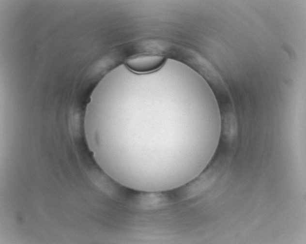 X0000115600378200911241600