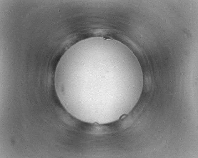 X0000115600379200911241600