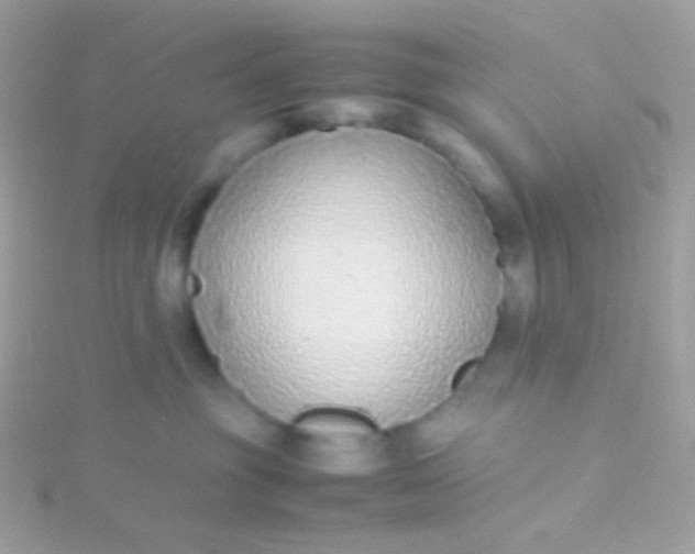 X0000115600381200911241600