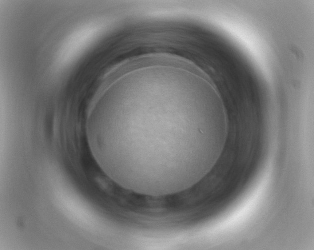 X0000115600382200911241600