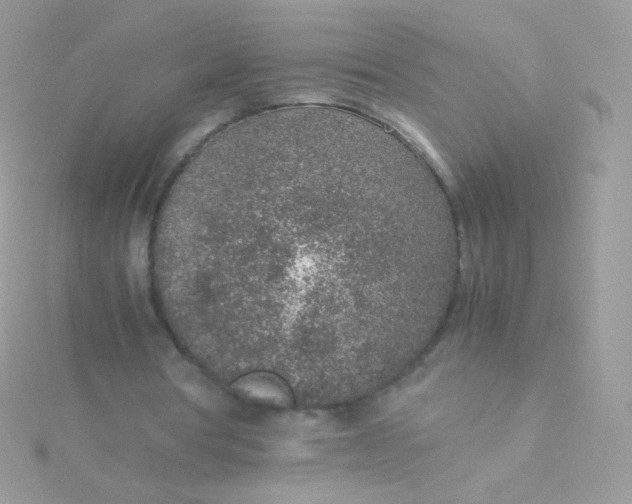 X0000115600386200911241559