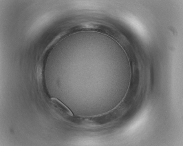 X0000115600387200911241559