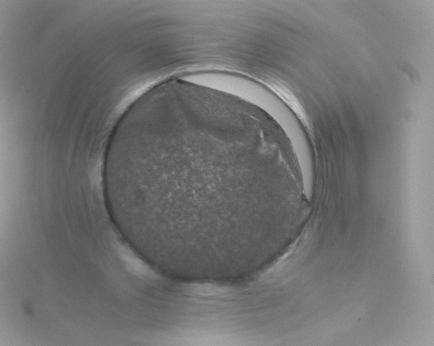 X0000115600389200911241559