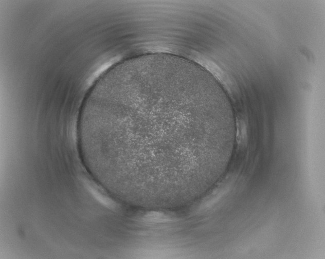 X0000115600390200911241559