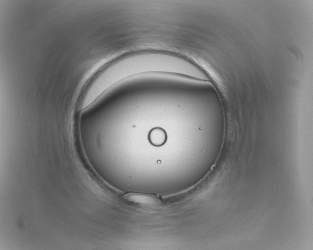 X0000115600391200911241559