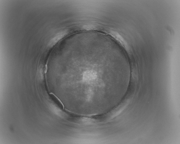 X0000115600393200911241559