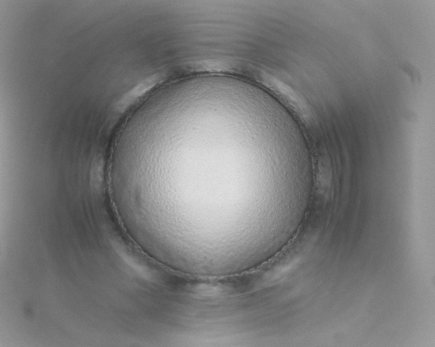 X0000115600394200911241559