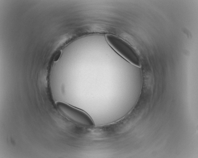 X0000115600395200911241559