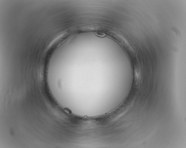 X0000115600396200911241559