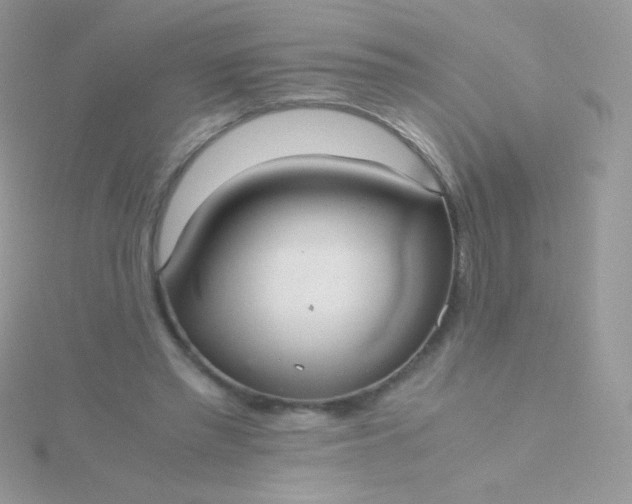 X0000115600397200911241559