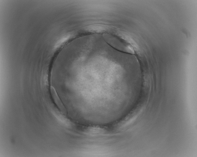 X0000115600399200911241559