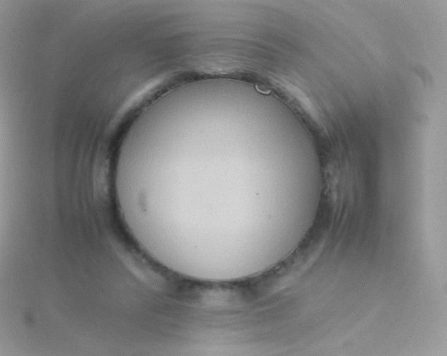 X0000115600400200911241559