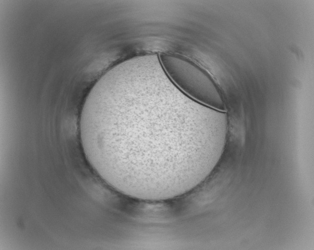 X0000115600401200911241559