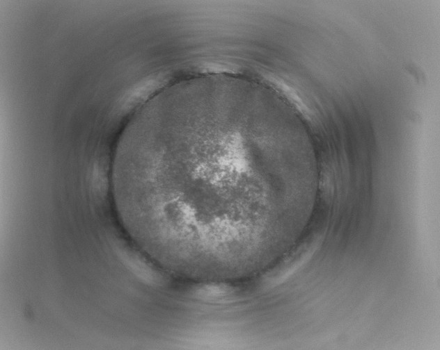 X0000115600402200911241559