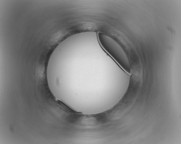 X0000115600403200911241559