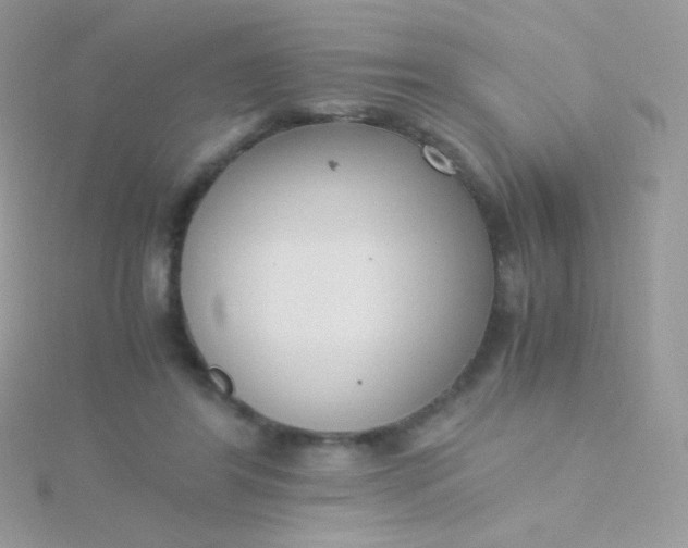 X0000115600404200911241559