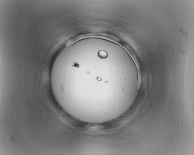 X0000115600407200911241559