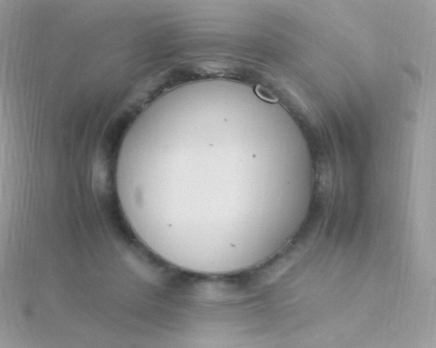 X0000115600408200911241559