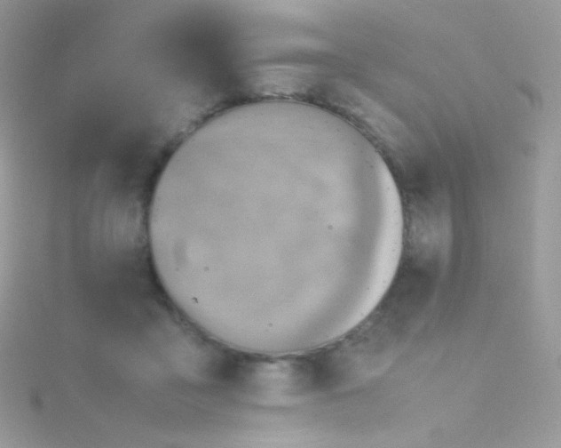 X0000115600411200911241559