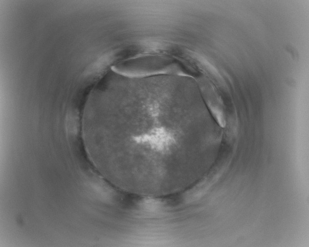 X0000115600413200911241559