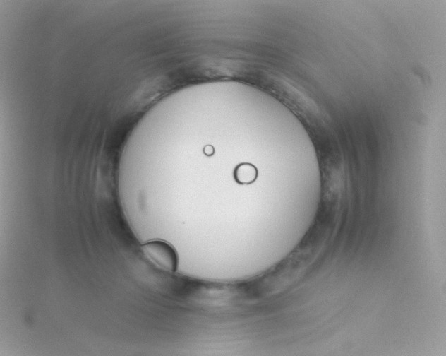 X0000115600414200911241559