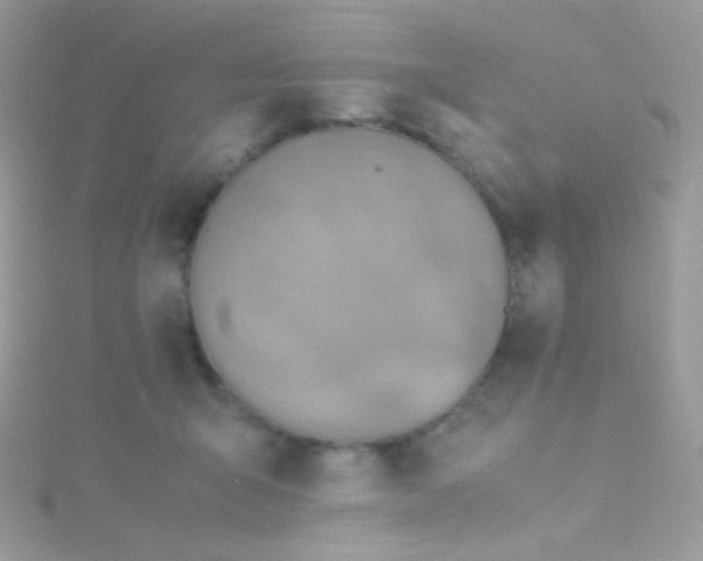 X0000115600415200911241559