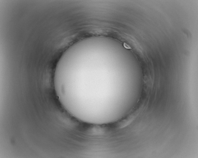 X0000115600416200911241559