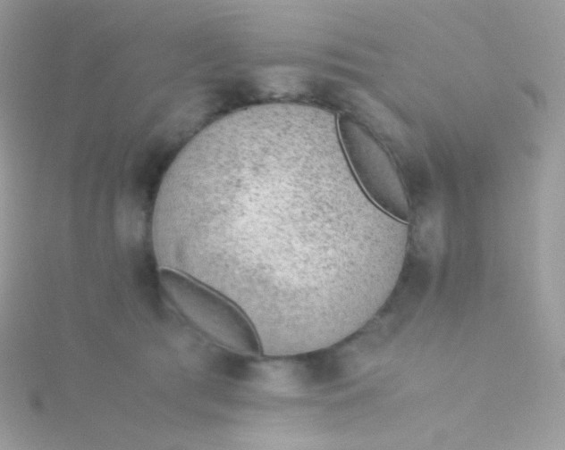 X0000115600417200911241559