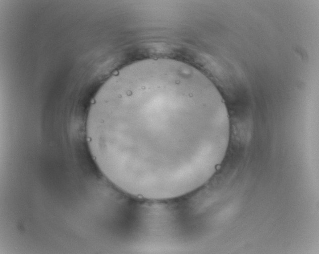 X0000115600419200911241559