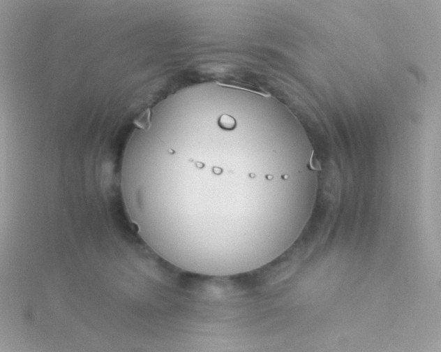 X0000115600420200911241559