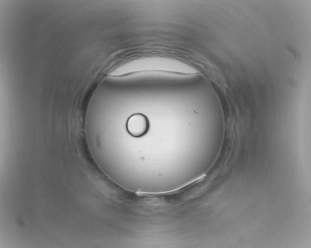 X0000115600421200911241559