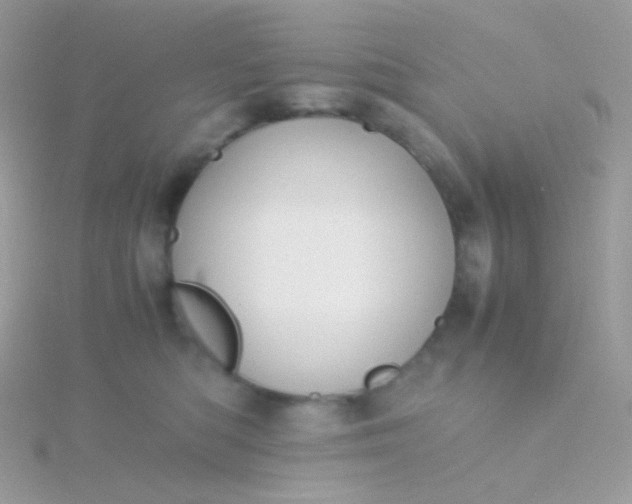 X0000115600422200911241559