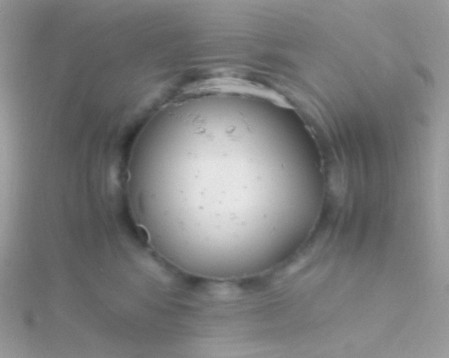 X0000115600424200911241559