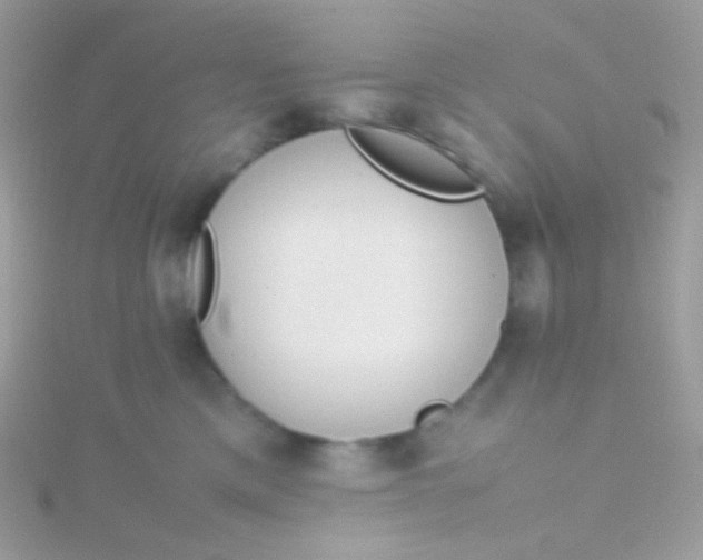 X0000115600425200911241559