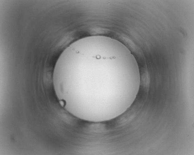 X0000115600426200911241558