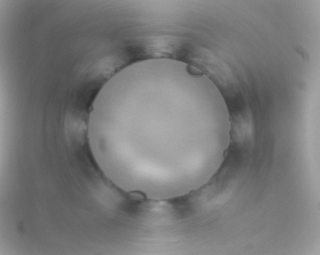 X0000115600427200911241558