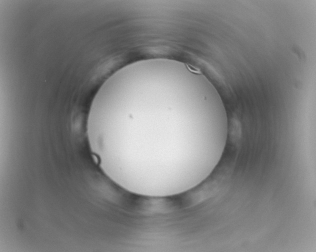 X0000115600428200911241558