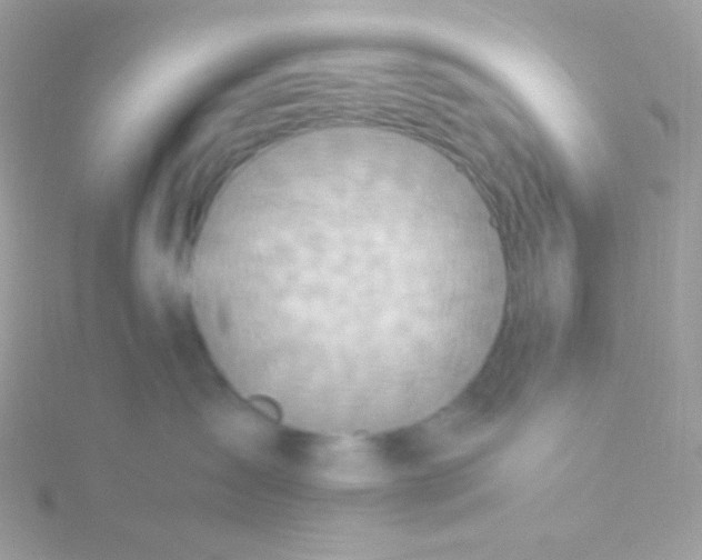 X0000115600431200911241558