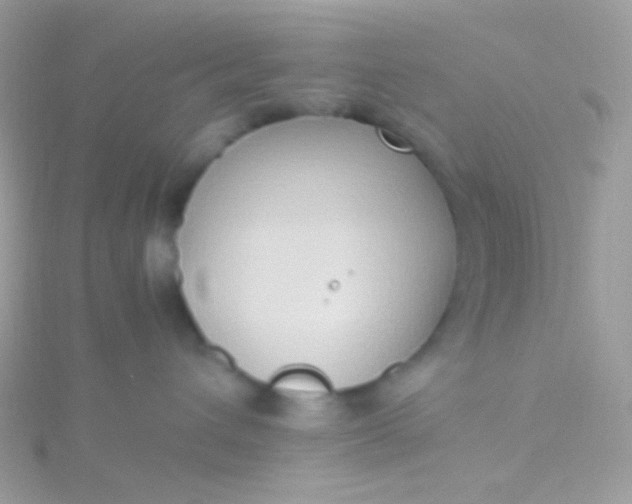 X0000115600432200911241558