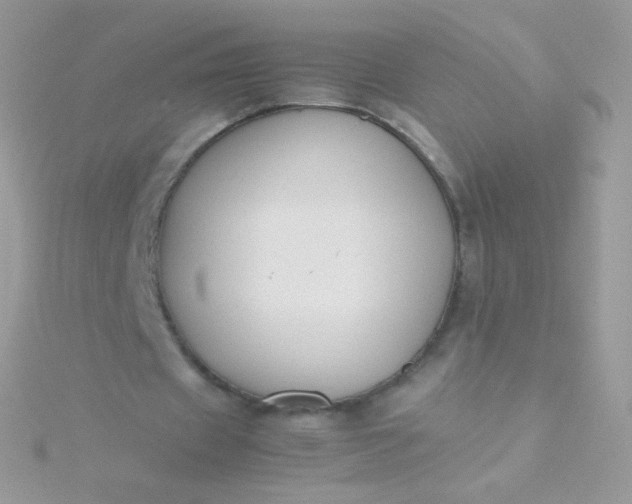 X0000115600433200911241558