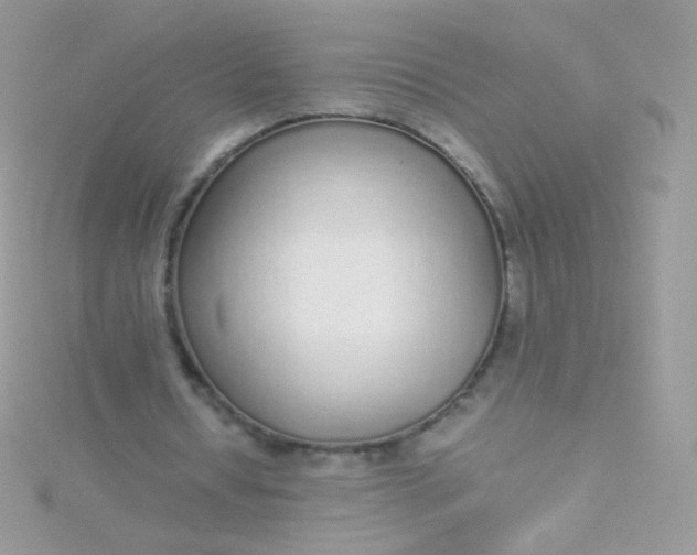 X0000115600434200911241558