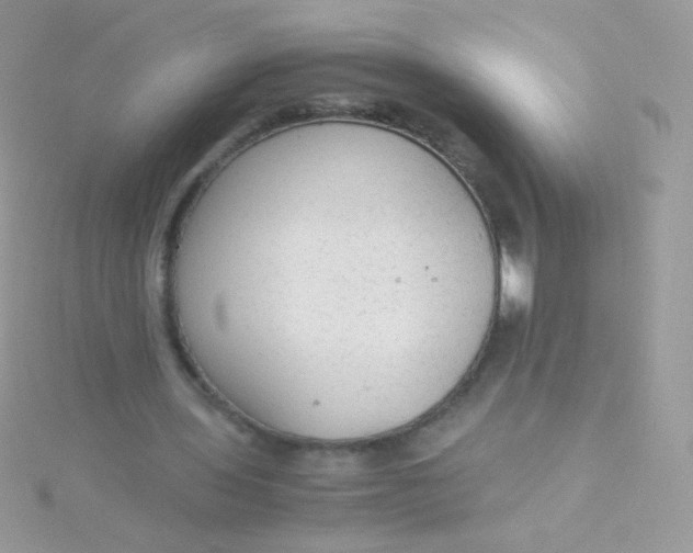 X0000115600435200911241558