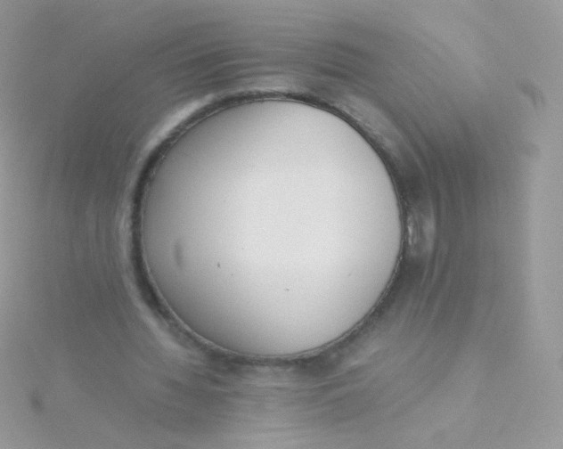 X0000115600436200911241558