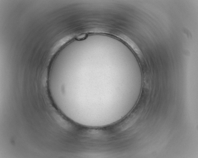 X0000115600437200911241558